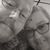 Eileen Boden Troutman's profile image
