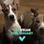 Kathryn Bolin's profile image