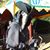 David Shealy's profile image