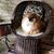 Pamela Campbell's profile image