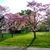 Lori Krull's profile image