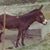 Verna Sams Wilson's profile image