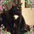 Sandy Rodgers's profile image