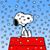 Julie Colglazier Jernigan's profile image