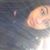 Sabrina Shaw's profile image
