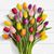 Joleen Lannie's profile image
