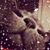 Shirley Brooks's profile image