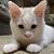 Andrew Hamrlicek's profile image
