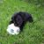 Barb Kaczmarek Mischel's profile image