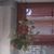 Lisa G. Matlock-Mccombs's profile image