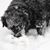 Thomas Cooke's profile image