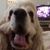 Teri Bader's profile image