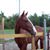 Patricia Robinson's profile image