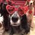 Joan Dudas's profile image