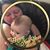 Shasta Ann Todd's profile image