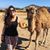 Julia Miliaresis's profile image