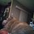 Michele Donnelly's profile image