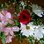 Cindy Labbe's profile image