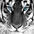 Ron Morgan's profile image
