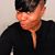 Tamara Levine's profile image