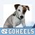 Lisa Ohler Denman's profile image