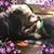 Jana Roy's profile image