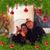 Darlene Cush Matesic's profile image