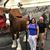 Phyllis Veronesi Miller's profile image