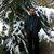 Babak Parsaei's profile image