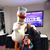Dave Stoddard's profile image