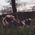 Vicky Nicot's profile image