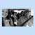 Allison Reynolds's profile image