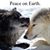 Lois Arsenault's profile image