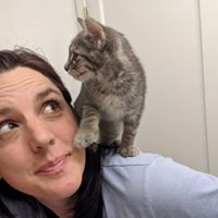 Becki Witherow's profile image