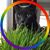 Anne Sarver's profile image