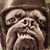 John Quigley's profile image