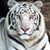 Paul Hohman's profile image