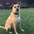Cathy Tomasek's profile image