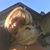 Valerie Standley's profile image