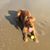 Colleen Rhodes Culbreth's profile image