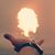 Jeff Coffey-Shelton's profile image