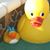 Marsha Fieldstone's profile image