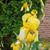 Wilma Zachary Winn's profile image