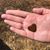 Sharon Bell's profile image