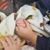 Kim Randall's profile image