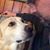 Carter Buttram's profile image