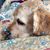 Joyce Byers Faircloth's profile image