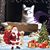 Beth Someson Erdelac's profile image