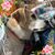 Libby Jonker Belanger's profile image