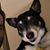 J Kelly Smith's profile image